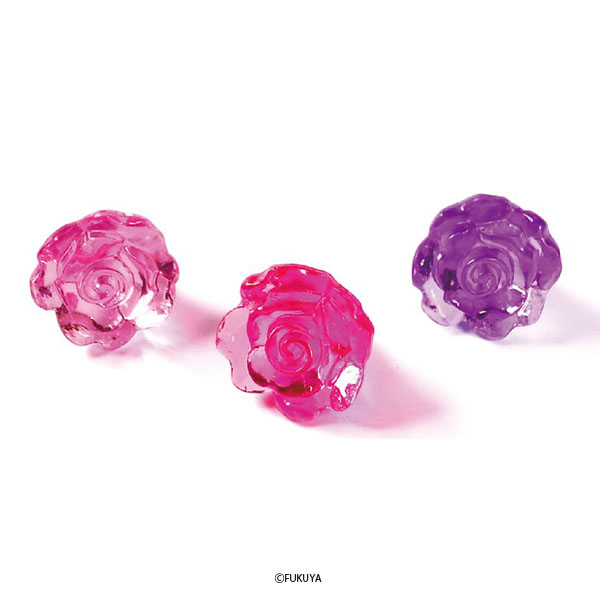 PS ROSE(PINK GRADATION)